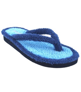 Rentrer chez soi, Mme BEREVERE v 9301 bleu