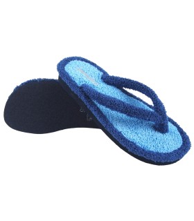 Rentrer chez soi, Mme BEREVERE v 9301 bleu